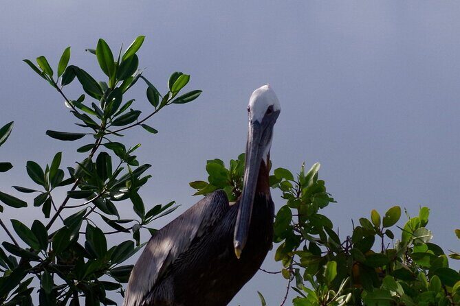 Private 6 Days All Included Tour from Sto Domingo to Punta Cana - Why You’ll Want to Book