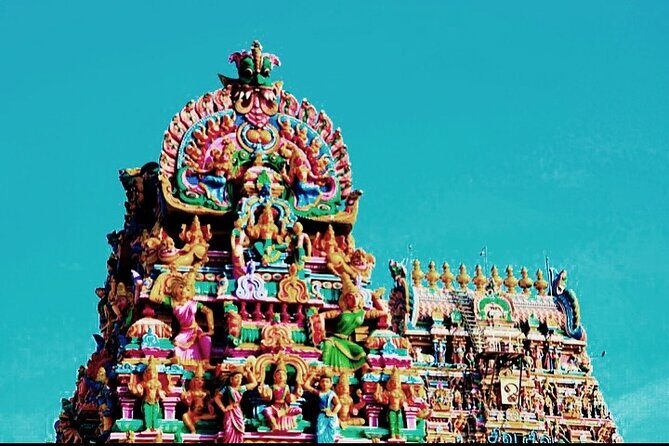 Private 6 days Exotic Tamilnadu Tour from Chennai - Who Should Book This Tour?
