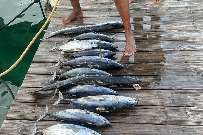 Private 6 Hour Fishing Charter in Nassau - Value and Practical Considerations