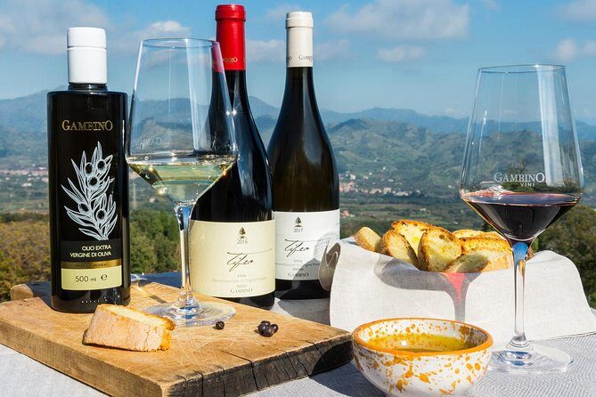 Private 6-Hour Tour of Three Etna Wineries with food&wine tasting - Authentic, Approachable, and Perfect for Food & Wine Lovers