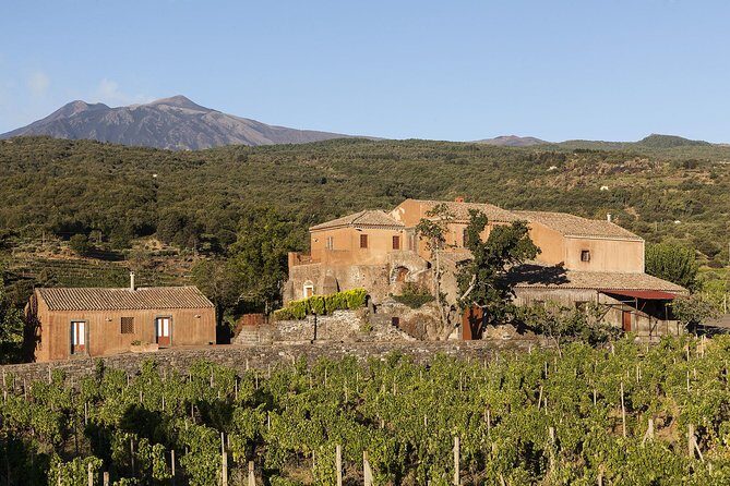 Private 6-Hour Tour of Three Etna Wineries with food&wine tasting - FAQ
