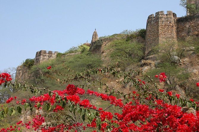 Private 6 Hours: Jaipur Temples Tour - Key Points