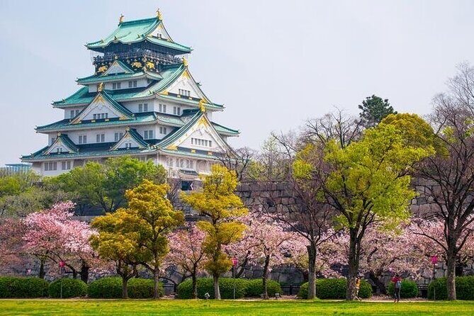 PRIVATE 6hr, Food tour from Osaka Castle, Kuromon, Dotonbori. - Key Points