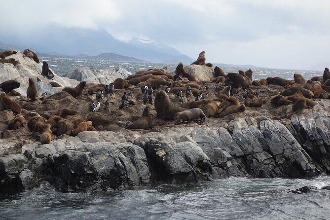 Private 7-Day Classic Argentina Family Tour - Logistics and Value: What’s Included and What to Consider