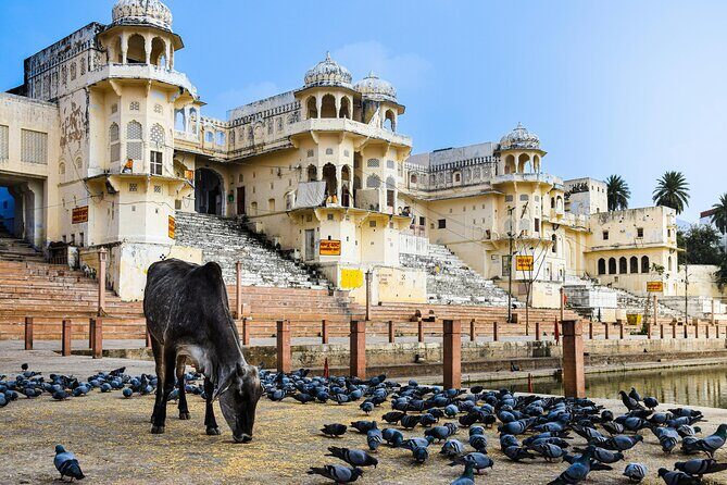 Private 7 Day Tour through Udaipur Chittorgarh Pushkar and Jaipur - Frequently Asked Questions