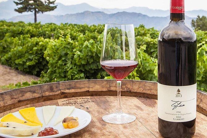 Private 7-Hour Tour of Three Etna Wineries with Tasting from Syracuse - Final Thoughts: Is This the Right Tour for You?