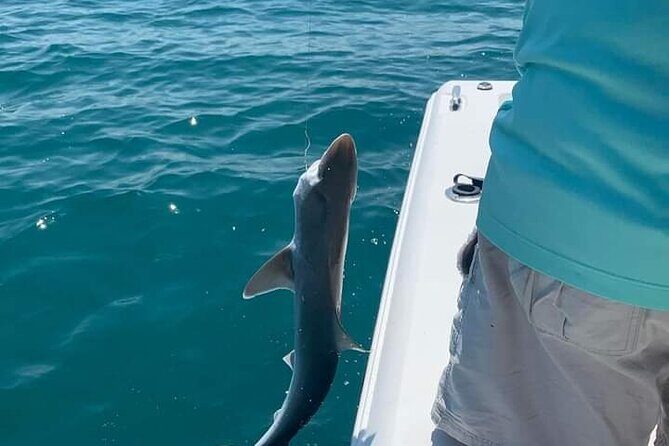 Private 8 hour Fishing Activity with Master Captain Bill - Key Points