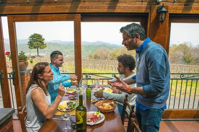 Private 8-Hour Tour of Four Etna Wineries with Tasting - An In-Depth Look at the Etna Wine Tour Experience