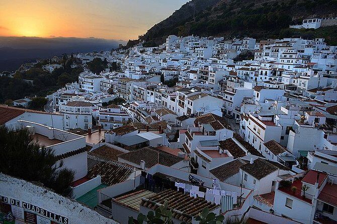 Private 8-hour Tour to Mijas Marbella and Puerto Banús from Malaga - Why This Tour Works for You