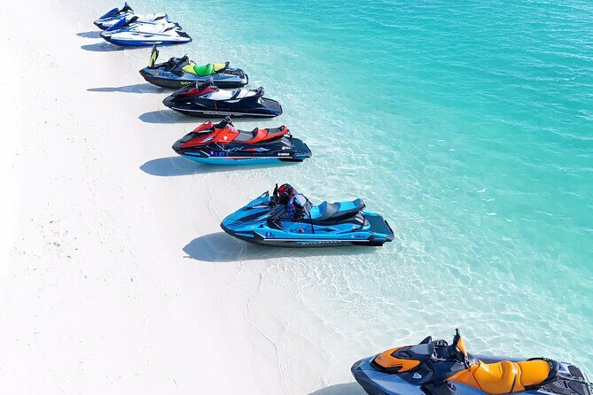 Private 8 Hours Full Day Tour at Bleus - Authentic Perspectives from Travelers