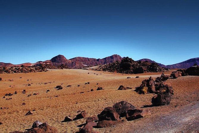Private 8 hours Tour to El Teide from Tenerife Hotel with driver/guide - What Past Travelers Say