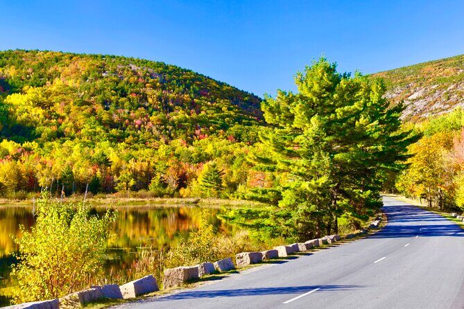 Private Acadia & Mount Desert Island Tour (full day, six hours) - Why Choose This Tour? A Deep Dive into What You Can Expect