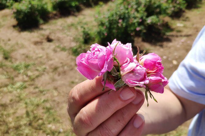 Private Access Rose Festival Kazanlak 06-08.06.2025 - Discover Bulgaria’s Beautiful Rose Valley and the Iconic Kazanlak Rose Festival
