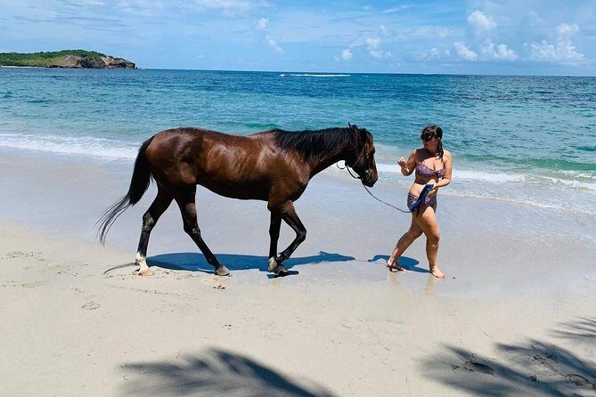 Private Advanced Horseback Beach Ride with Sandy Hoofs St. Lucia - Authentic Reviews: What Others Say