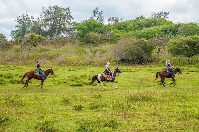 Private Advanced Trail Ride - Saddle Up for a Private Advanced Trail Ride in Oahu