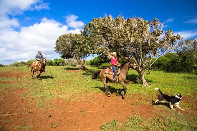 Private Advanced Trail Ride - Key Points