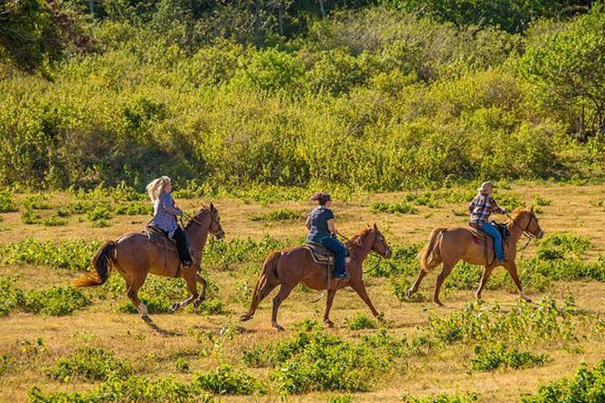 Private Advanced Trail Ride - Who Will Love This Experience?