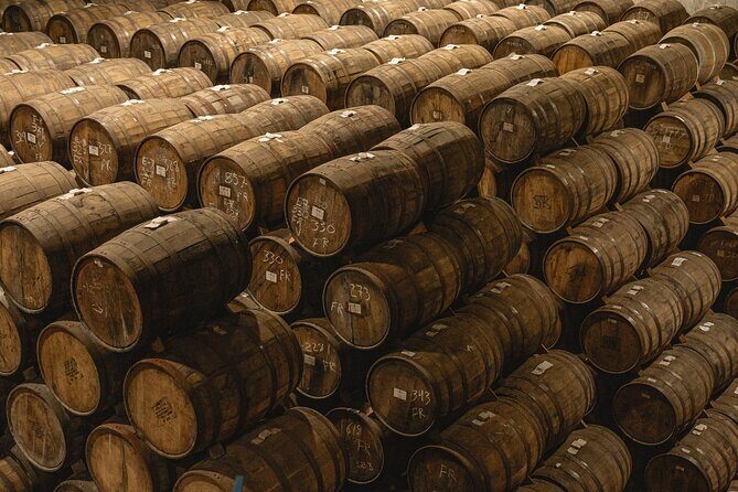 Private Adventure Day Tour to Tequila and Cazcanes Distillery - What Travelers Say