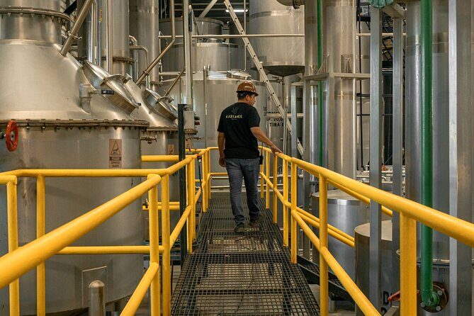 Private Adventure Day Tour to Tequila and Cazcanes Distillery - Who Should Book This Tour?