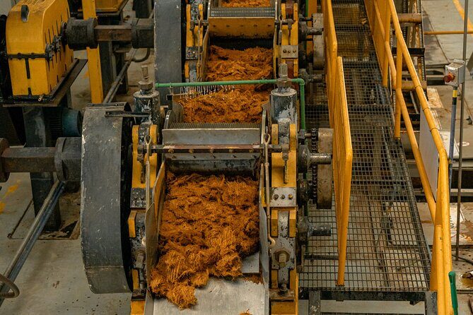 Private Adventure Day Tour to Tequila and Cazcanes Distillery - Final Thoughts