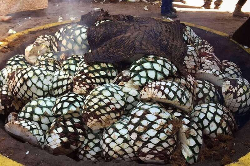 Private Adventure to Tequila and el Cascahuin Distillery - Experience the Authentic Spirit of Jalisco: Private Tour to Tequila and El Cascahuín Distillery
