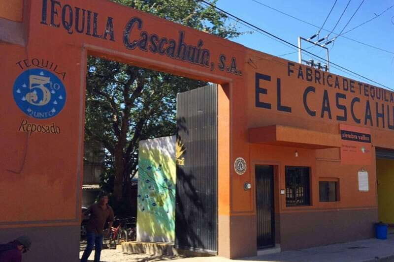 Private Adventure to Tequila and el Cascahuin Distillery - The Authenticity and Value of This Tour