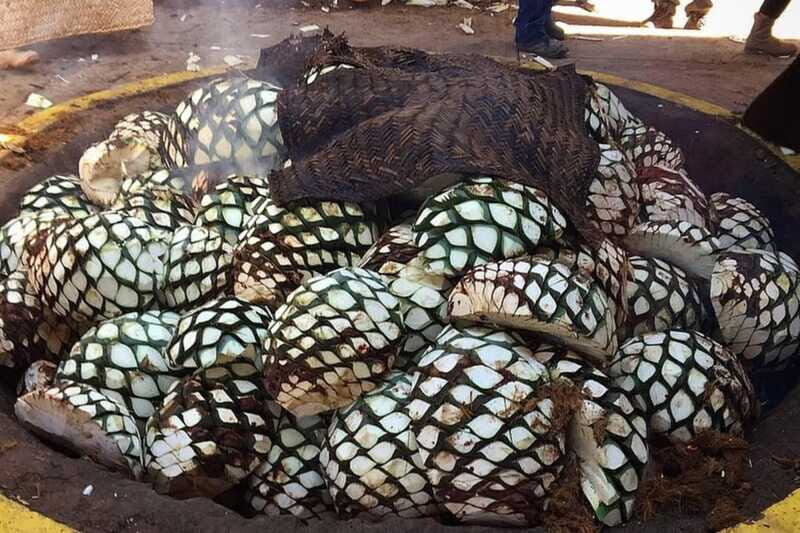 Private Adventure to Tequila and el Cascahuin Distillery - Who Will Love This Tour?