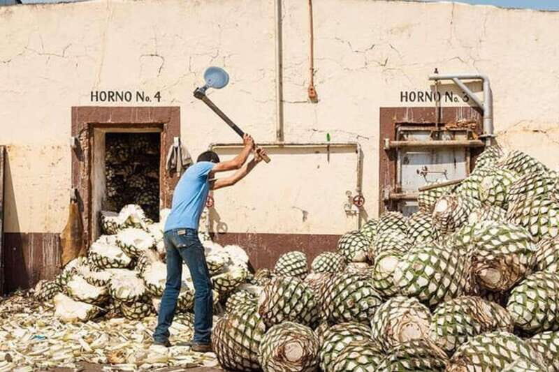 Private Adventure to Tequila and el Cascahuin Distillery - The Sum Up