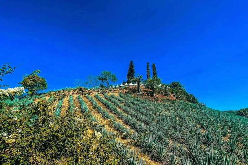 Private Adventure to Tequila and la Fortaleza Distillery - FAQs