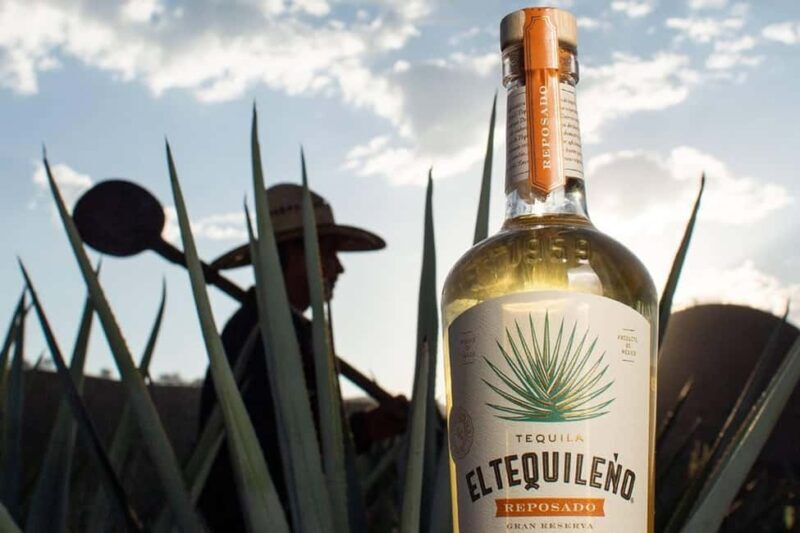 Private Adventure to Tequila and Tequila El Tequileño - Key Points