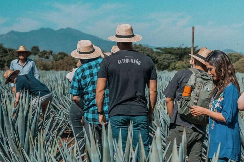 Private Adventure to Tequila and Tequila El Tequileño - Exploring the Details of the Tequila Tour