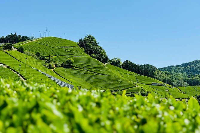 Private adventures into the hidden gems of greater Kyoto - Final thoughts