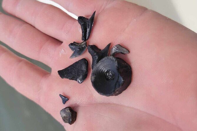 Private Afternoon Boat Ride and Beach Excursion - The Sum Up: Who Should Consider This Tour?