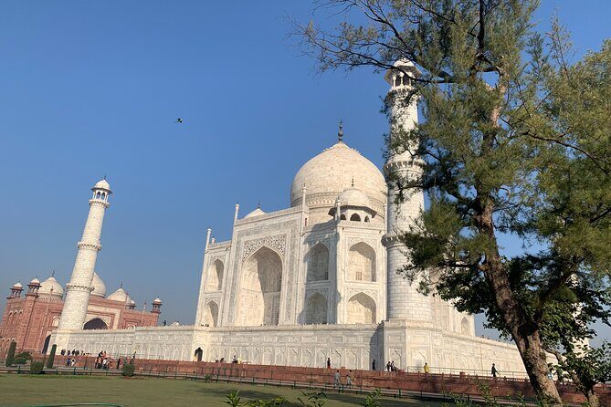 Private Agra Tour - Taj Mahal, Agra Fort & Baby Taj (Daytrip from Delhi) - Who Is This Tour Best For?