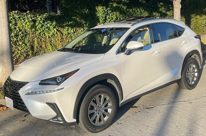 Private Airport Arrivals Rides to Hotel - Who Is This Transfer Best For?