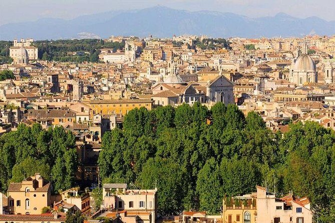 Private Airport Pick-Up + Rome Tour + Transfer to Civitavecchia - Concluding Thoughts
