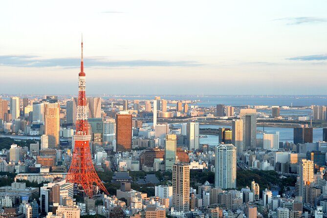 Private Airport transfer Haneda Airport(HND) to Tokyo City - The Vehicle and Comfort Level