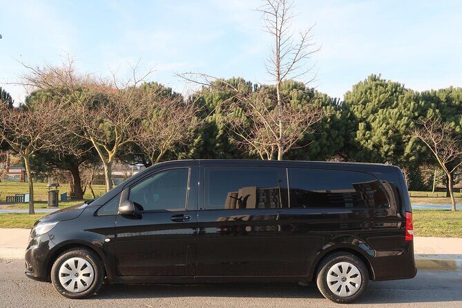 Private Airport Transfer in Istanbul - Who Is This Transfer Best For?