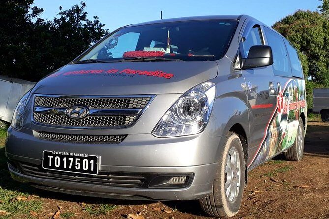 Private Airport Transfer: Port Vila Airport to Hotel - A Smooth Start in Vanuatu: Private Airport Transfer from Port Vila Airport to Hotel