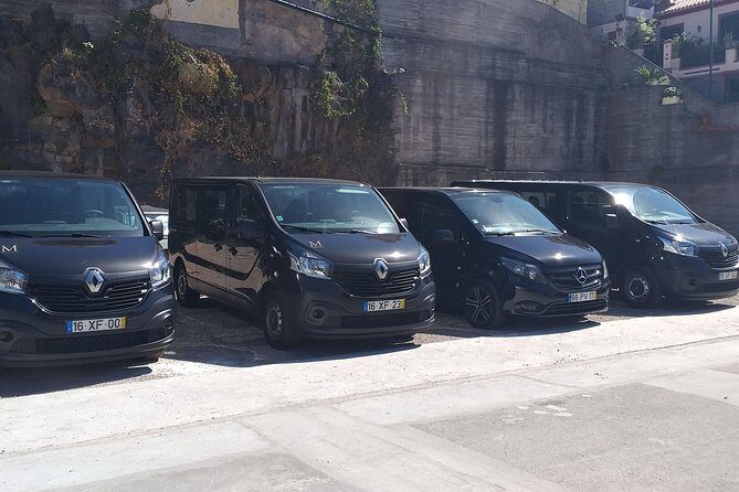 Private airport transfer to Funchal 8 people more return - Madeira Airport to Funchal: Your Private Transfer Experience