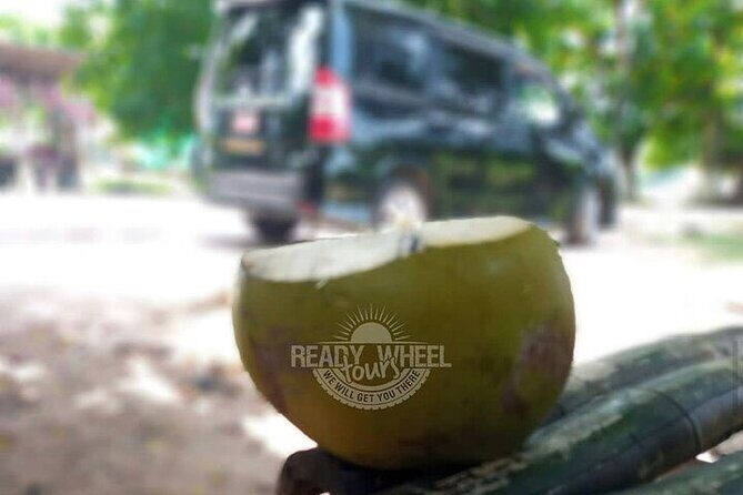 Private Airport Transfer to Negril from Montego Bay w Local Guide - Final Thoughts