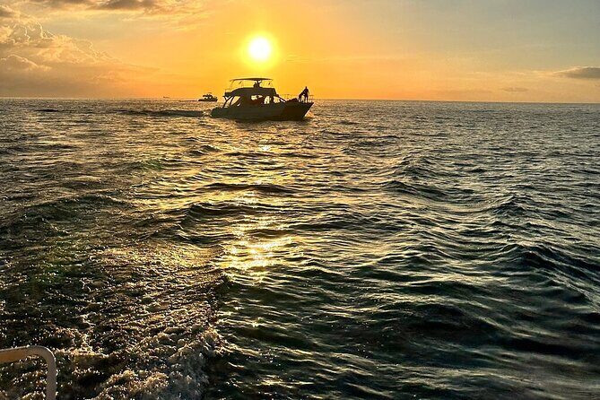 Private Airport Transfer to Royalton, Ocean Coral Spring & Excellence Oyster Bay - FAQ