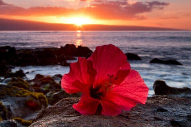 Private Airport Transfer to Waikoloa Resorts Private Residence - The Fine Details: What Makes This Transfer Stand Out