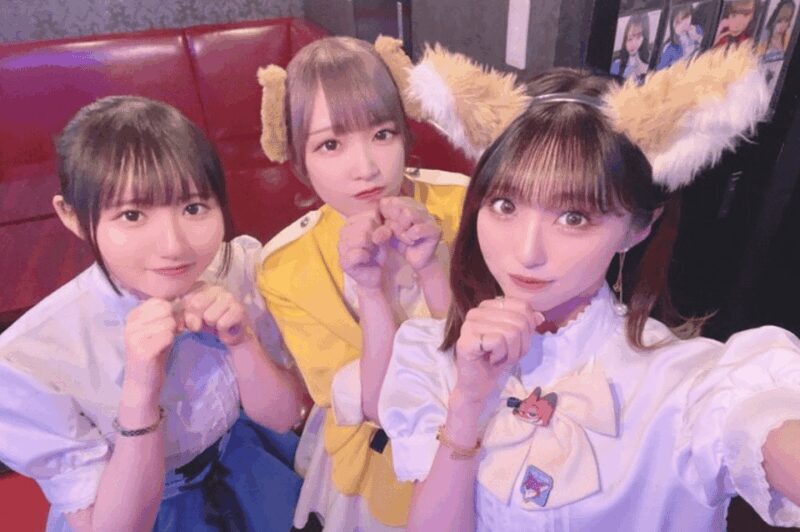 Private Akihabara Anime Game Maid Cafe Tour w/ free pickup - Key Points