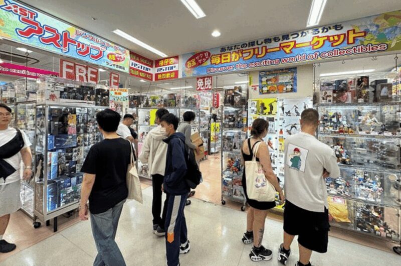 Private Akihabara Anime Game Maid Cafe Tour w/ free pickup - Who Will Appreciate This Tour Most?