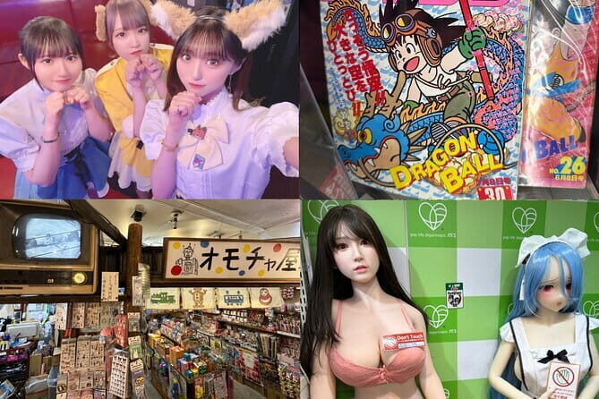 Private Akihabara Retro Tokyo Anime Game Maid Cafe Tour w/ pickup - Discover Tokyo’s Retro Side with a Private Akihabara Tour