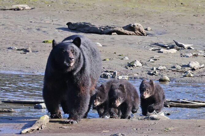 Private Alaska Native Wildlife & Scenic Experience.. - Cultural Landmarks and Storytelling