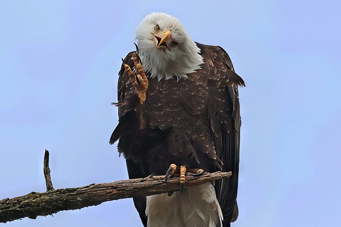 Private Alaska Native Wildlife & Scenic Experience.. - Final Thoughts