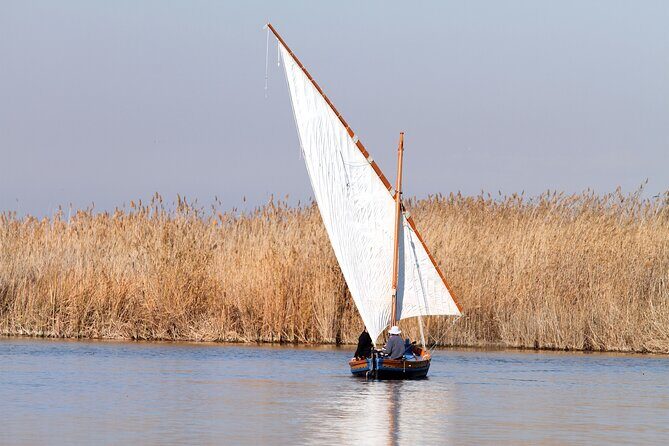 Private Albufera Day Trip: Paella, Boat Ride and Nature Trek - Culinary Highlight: Paella by the Lake
