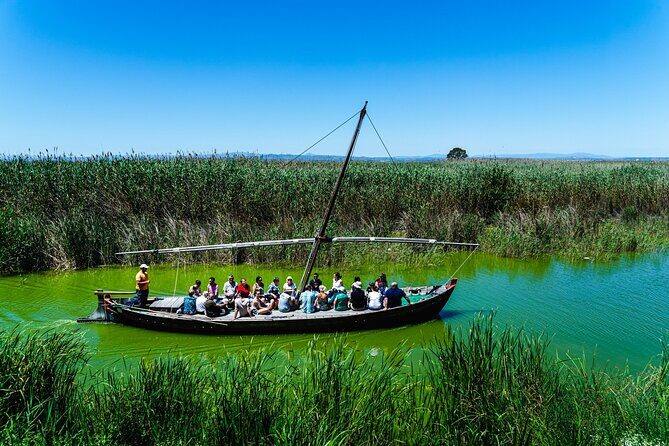 Private Albufera Day Trip: Paella, Boat Ride and Nature Trek - Who Would Love This Tour?